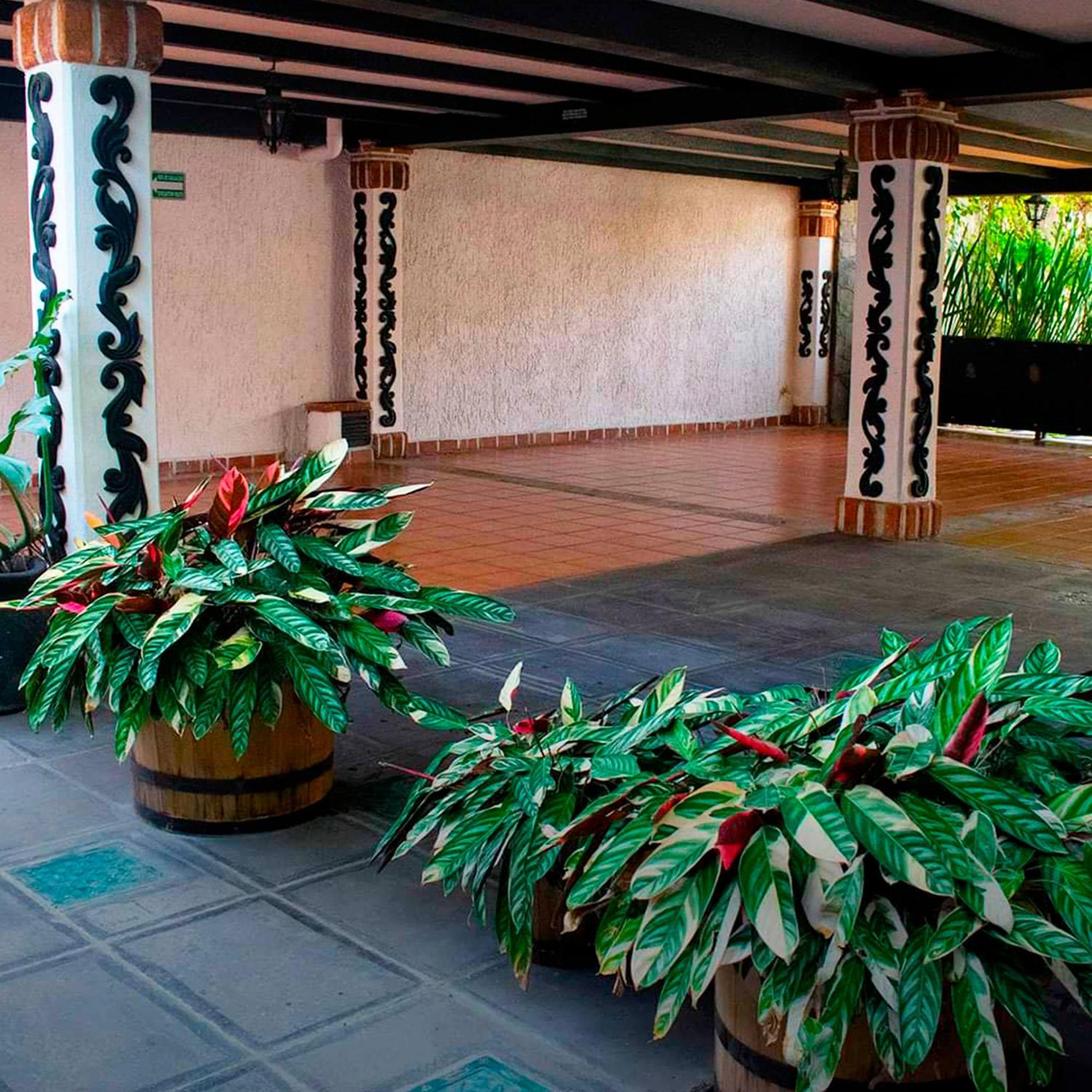Hotel Boutique La Mansion Guadalajara Exteriör bild
